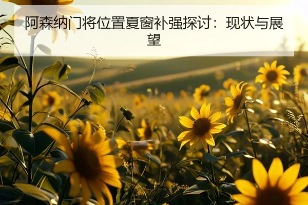 阿森纳门将位置夏窗补强探讨：现状与展望